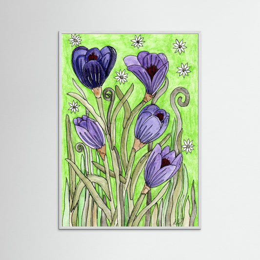 Crocus