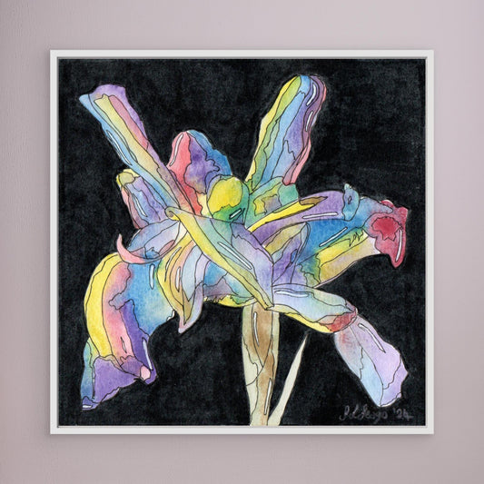 Iris - Framed Canvas Print