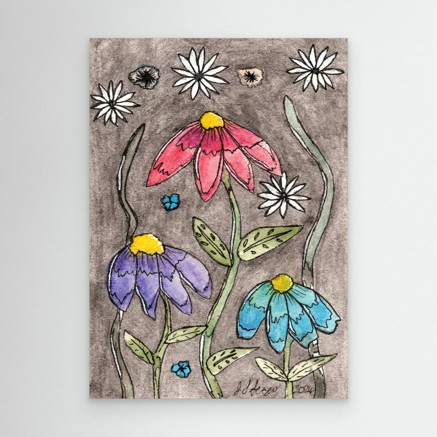 Echinacea - Framed Canvas Giclée Print