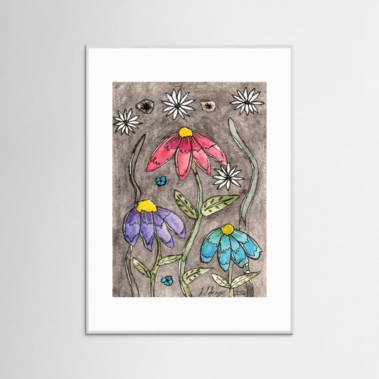 Echinacea