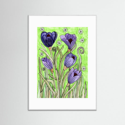 Crocus
