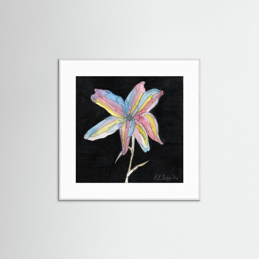 Lily